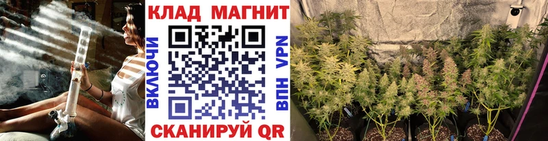 Купить наркотики сайты Старая Русса Каннабис  АМФ  Гашиш  A PVP 
