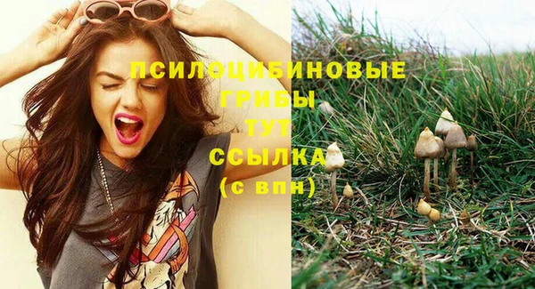 спайс Алексеевка