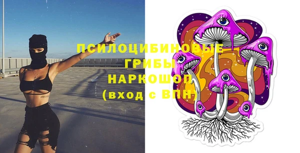 хмурый Осташков