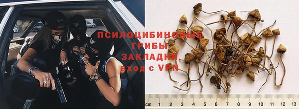 шишки Абдулино