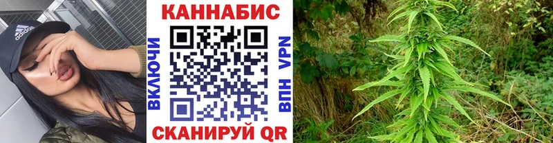 Конопля план Старая Русса
